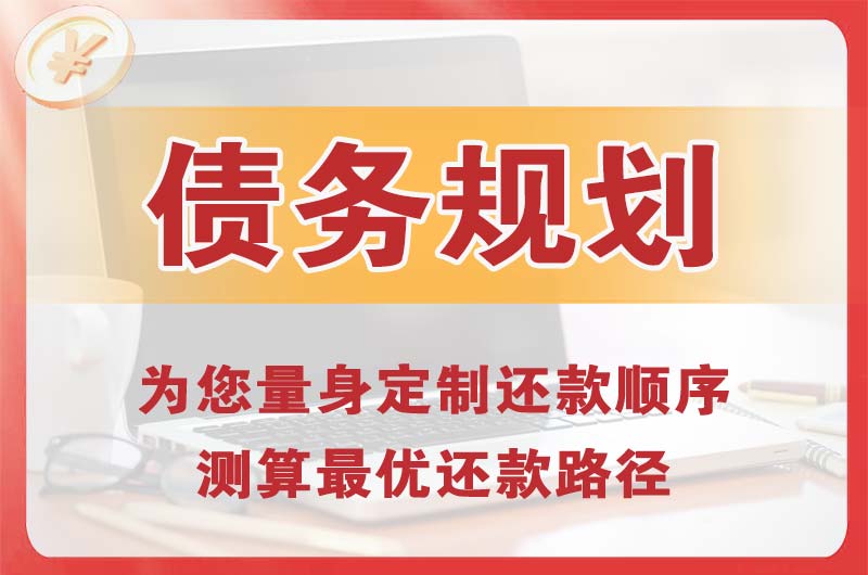 漳县债务规划